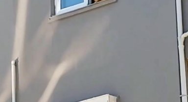 Ağır hasarlı binadan kurtarılmaya çalışılan kedi, 14'üncü kattan atladı