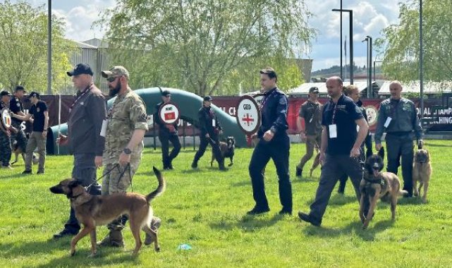 Ankara'da 10 ülkenin eğitimli 'narkotik' köpekleri yarışıyor