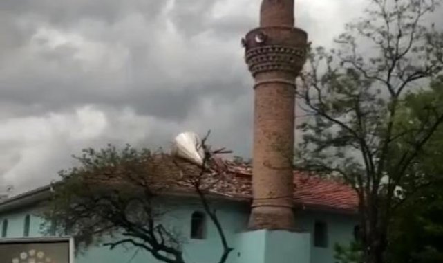 Ankara'da kuvvetli rüzgar; ağaçlar devrildi, çatılar uçtu