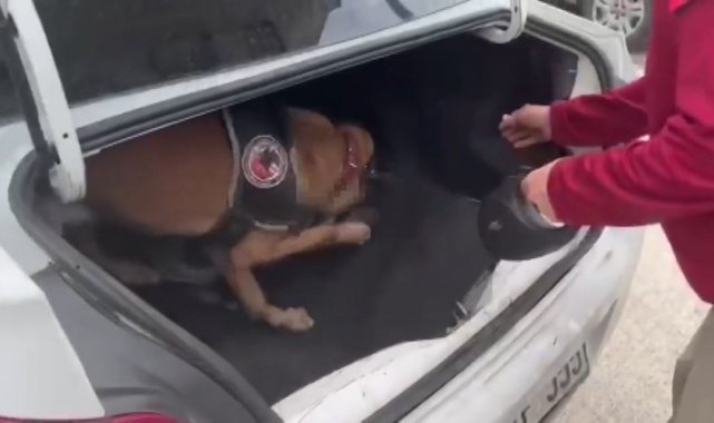 Aracın bagajına gizlenen uyuşturucu böyle bulundu