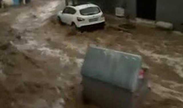 Aydın'da sel; caddeler göle döndü, suya kapılan at öldü