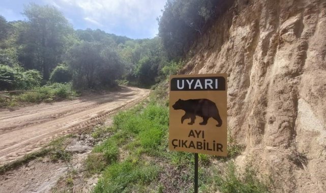 Ayı uyarısı levhalara taşındı