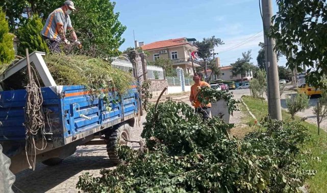 Ayvalık'ta sezon öncesi detaylı temizlik