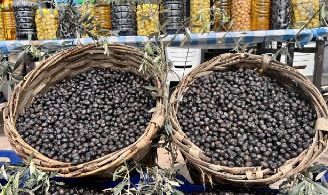 Bakan Varank'tan AB tescili yolundaki Gemlikli zeytincilere ziyaret