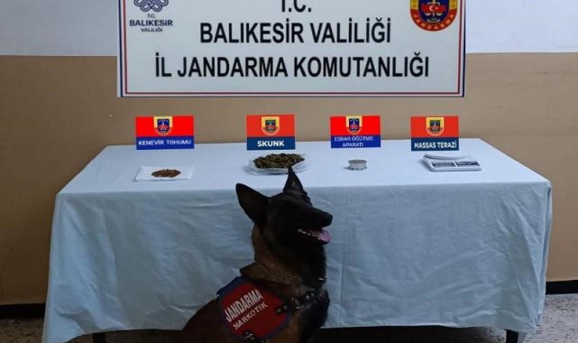 Balıkesir'de jandarmadan 48 şahsa uyuşturucu operasyonu