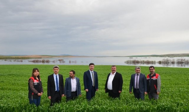 Beylikova ayçiçeğinde zirveye oynuyor