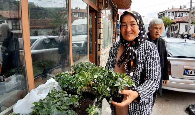 Bolu'da 10 bin fideye yoğun talep