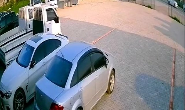 Bursa'da başıboş at böyle kaza yaptı, telef oldu