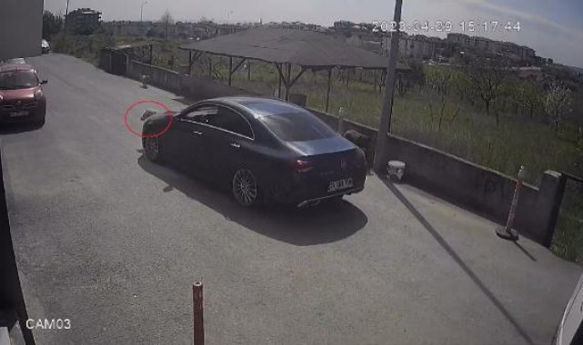 Büyükçekmece'de köpeği göz göre göre ezdi yoluna devam etti