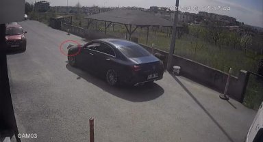 Büyükçekmece'de köpeği göz göre göre ezdi yoluna devam etti