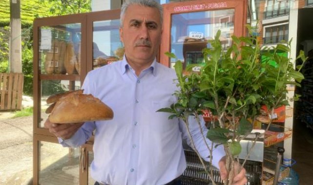 Çay üreticileri, 2023 yılı yaş çay alım taban fiyatını değerlendirdi