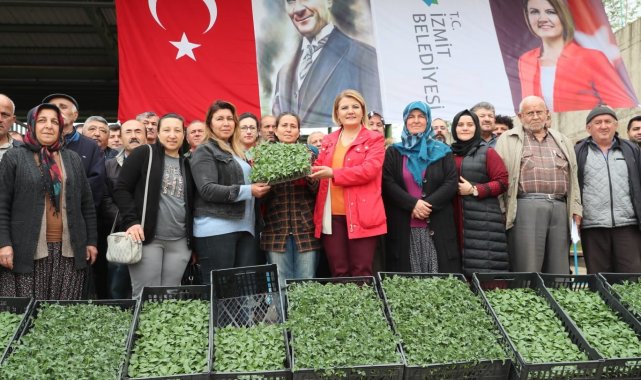 Çiftçiye yüzde yüz hibeli fide desteği