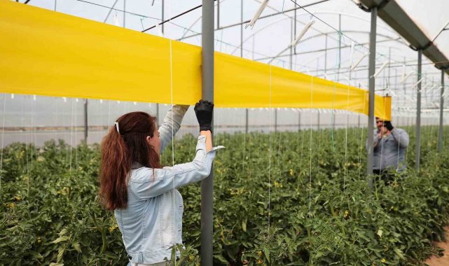 Denizlili üreticilere haşerelerle mücadele desteği sürüyor