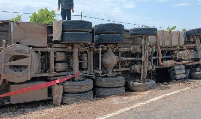 Devrilen TIR'daki 102 koyun ve keçi öldü; şoför yaralı