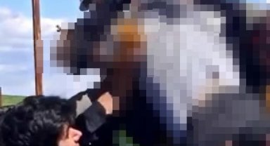 Diyarbakır'da, çıktığı direkte akıma kapılan işçi ağır yaralandı