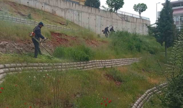Dulkadiroğlu'nda çevre temizliği