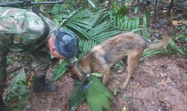 Düşen uçaktan sağ kurtulan biri bebek 4 çocuk, 17 gün sonra bulundu