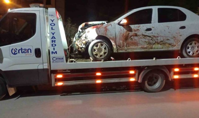 Elazığ'da otomobil koyun sürüsüne daldı: 2 yaralı