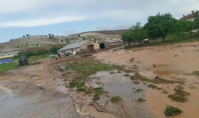 Elazığ'da sağanak ve dolu etkili oldu; 200 küçükbaş hayvan öldü