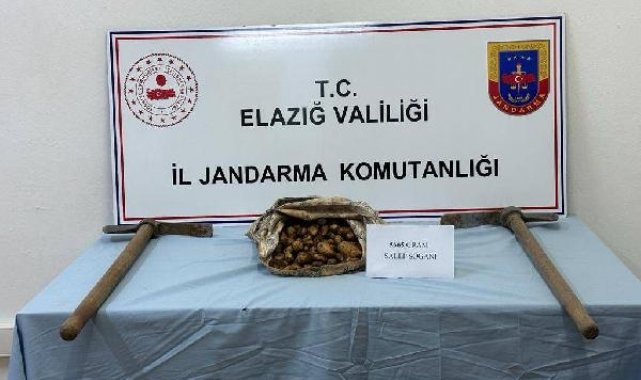 Elazığ'da salep soğanı toplayan kişiye 110 bin lira ceza