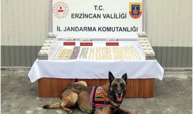 Erzincan'da jandarma ekiplerince 11 faili meçhul olayın 10'u aydınlatıldı