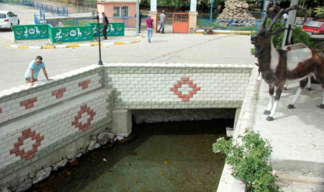 Erzincan'da şifalı su