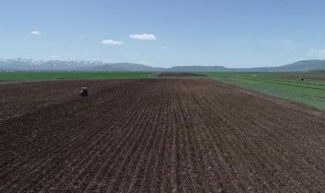 Erzurum'a 2,5 ayda toplam 229,9 kilogram yağış düştü; çifçinin yüzü güldü