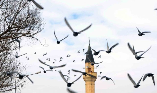Erzurum'da bin 601 cami bulunuyor