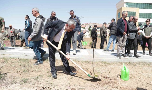 Fidanlar, bal ormanına dönüşecek