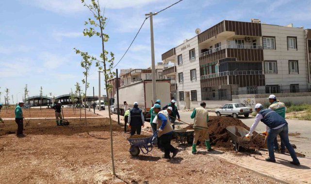 Haliliye'de parklar güzelleşiyor