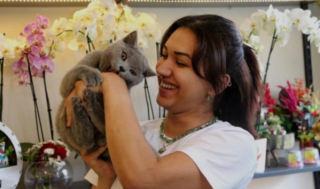 Hırsızlık için girdiği çiçekçiden kedi çaldı