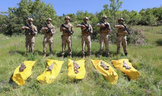 İçişleri: Şırnak'ta 2 terörist daha etkisiz hale getirildi