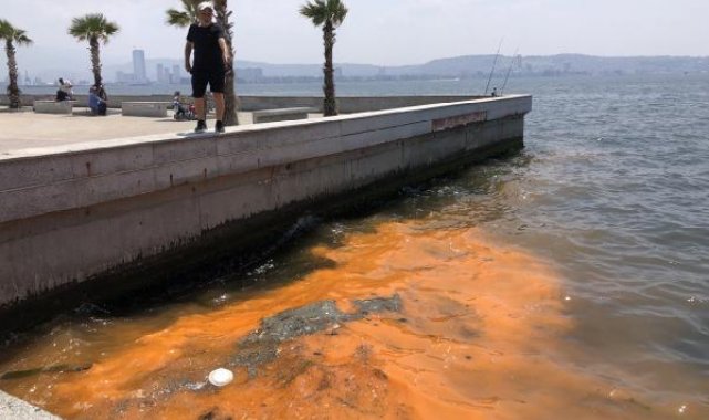 İzmir Körfezi'nde 'kırmızı- turuncu renk' uyarısı