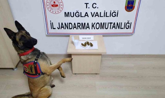 Jandarma 4 günde 147 operasyon yaptı