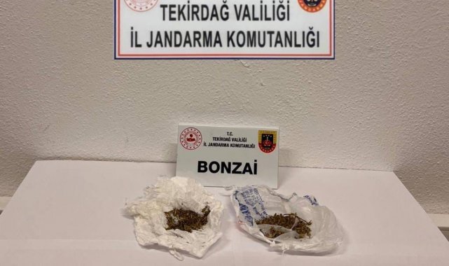 Jandarmadan uyuşturucu operasyonu: Bonzai ele geçirildi