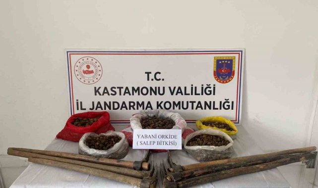 Kastamonu'da 22,5 kilogram sahleple yakalanan 3 kişiye ceza