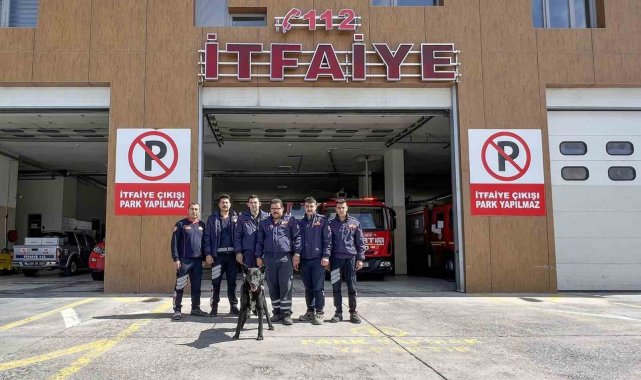 Kayalıklarda mahsur kalan köpeğin yardımına itfaiye ekipleri yetişti