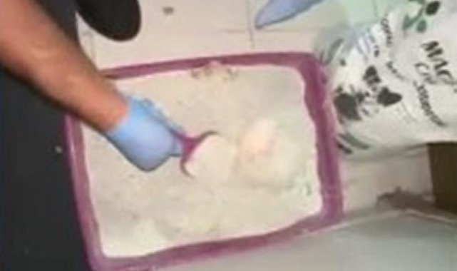 Kedi kumu ve tenekelere gizlenmiş 6 bin 740 uyuşturucu hap ele geçirildi