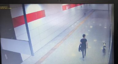 Kediyi pitbulla öldürten şüpheliye 6 ay boyunca hayvan içerikli kitap okuma cezası