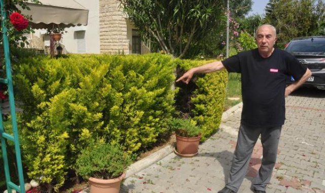 Komşusunun ağaçlarını kesmekten, 6 yıl hapsi istendi