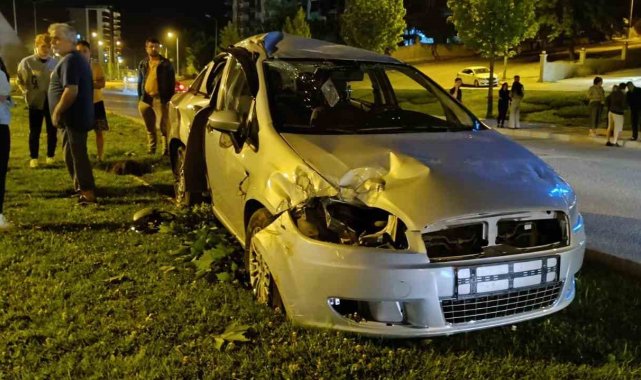 Kontrolden çıkan araç aydınlatma direği ve ağaçları devirdi