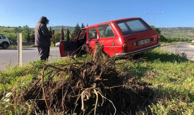 Kontrolden çıkan otomobil çarptığı ağacı kökünden söktü