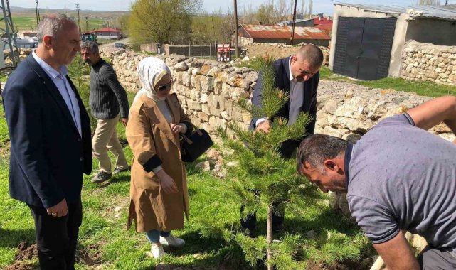 Küpeli köyünde fidanlar toprakla buluştu