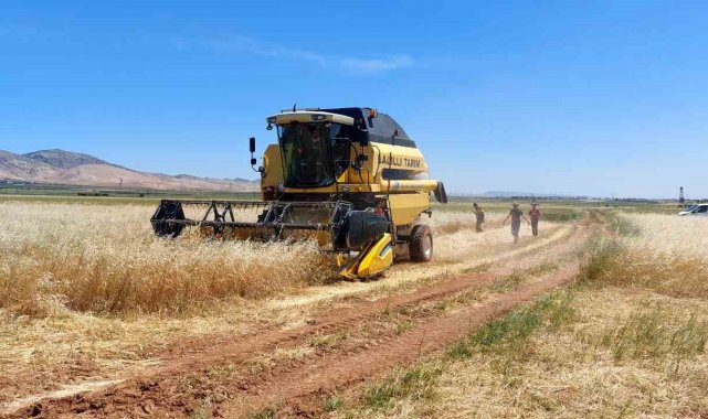 Mardin'de ilk arpa hasadında verim artışı çiftçinin yüzünü güldürdü