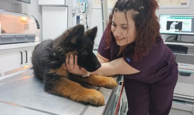 Meksika'ya gönderilen 'Arkadaş', Türk bayraklı yelekle görev yapacak