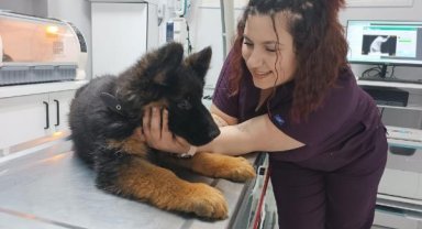 Meksika'ya gönderilen 'Arkadaş', Türk bayraklı yelekle görev yapacak