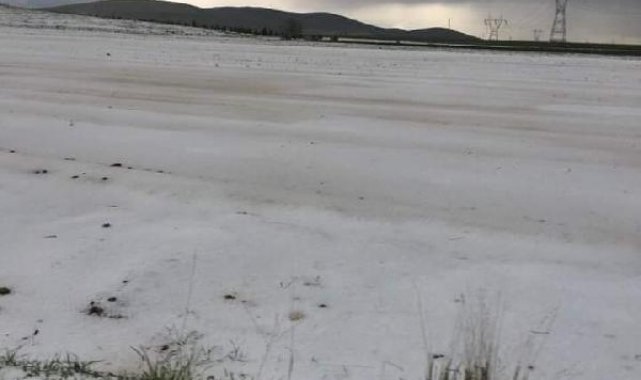 Niğde'de dolu, tarım arazilerine zarar verdi