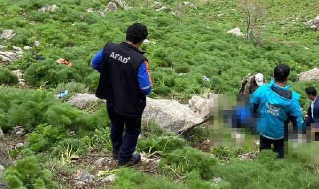 Ot toplarken 100 metreden kayalıklara düşen emekli güvenlik korucusu öldü
