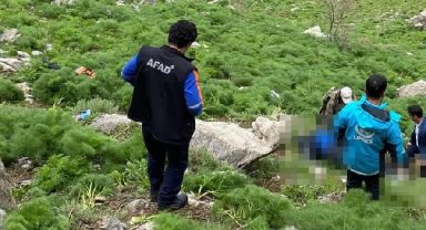 Ot toplarken 100 metreden kayalıklara düşen emekli güvenlik korucusu öldü
