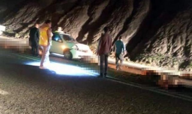 Otomobil sürüye çarptı; 17 koyun öldü